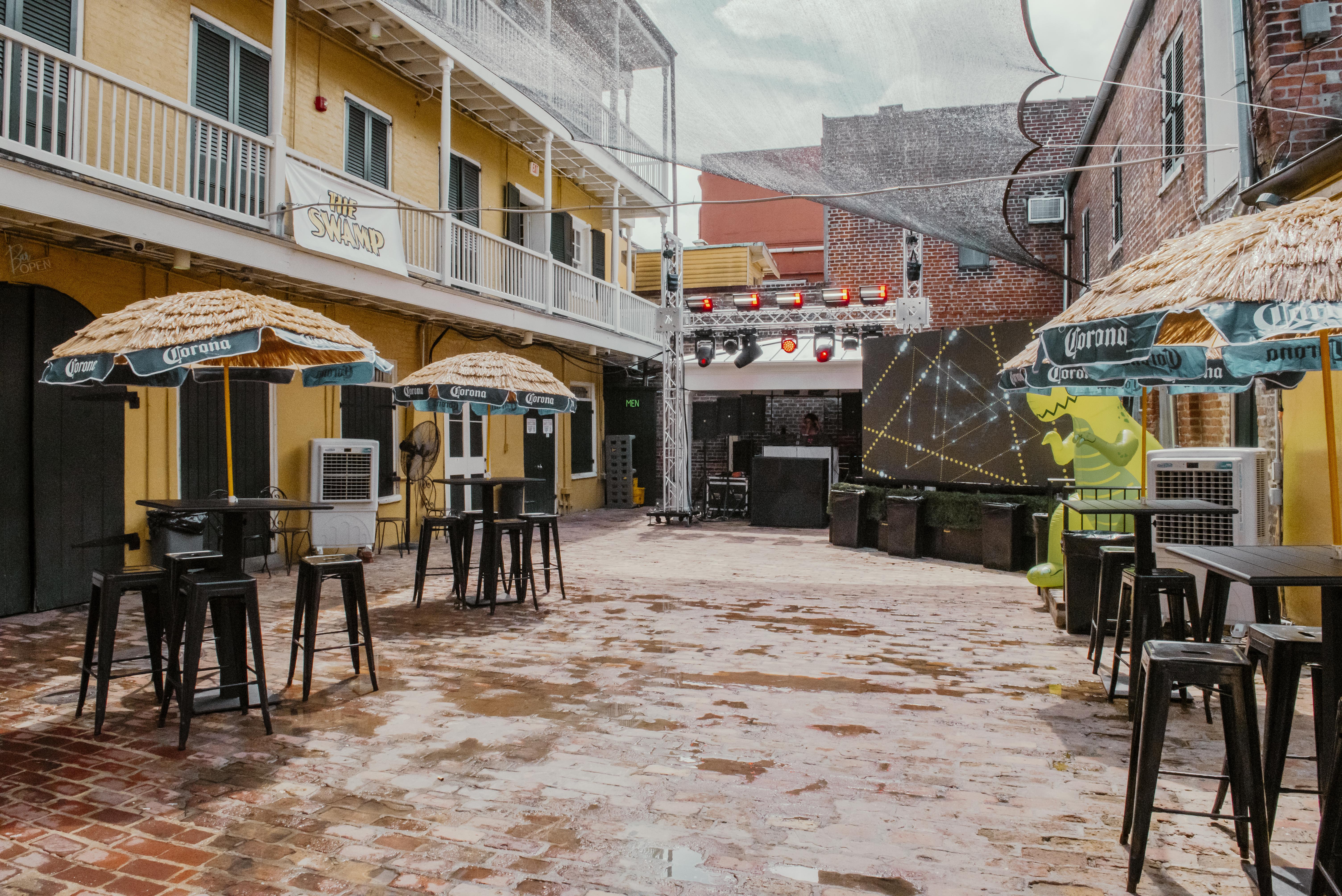 The Swamp on Bourbon Street